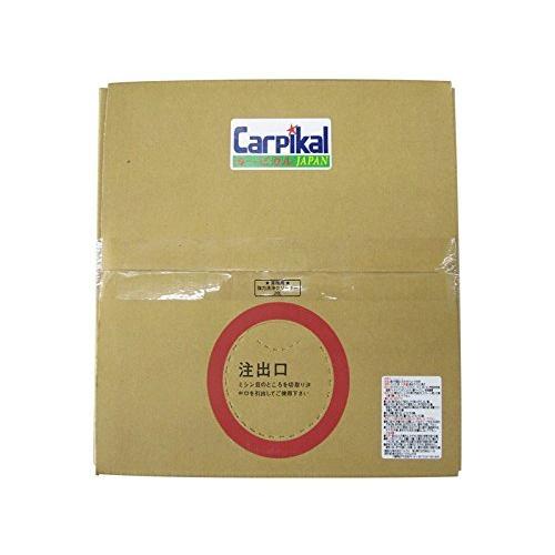 人気ショップが最安値挑戦 カーピカル 業務用 強力洗浄クリーナー l エンジンルーム オイル汚洗浄 最安値挑戦 Www Muslimaidusa Org