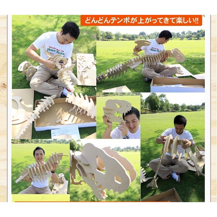 巨大恐竜！ティラノサウルス （骨格模型キット） |  | 08
