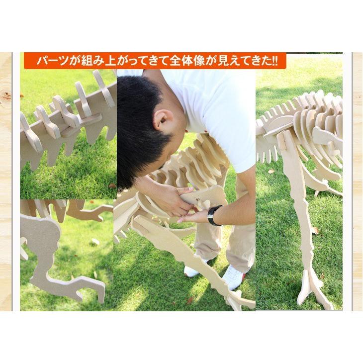 巨大恐竜！ティラノサウルス （骨格模型キット） |  | 09