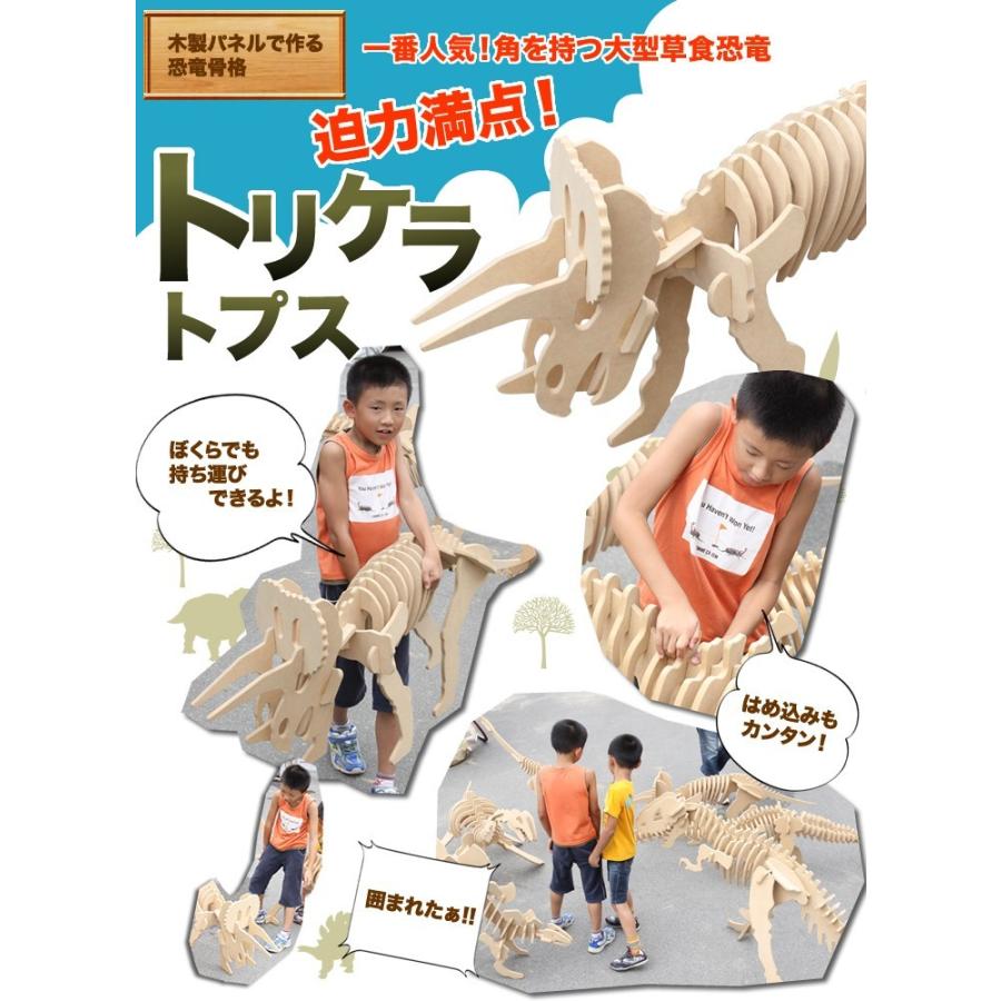 巨大恐竜！トリケラトプス（骨格模型キット） |  | 02
