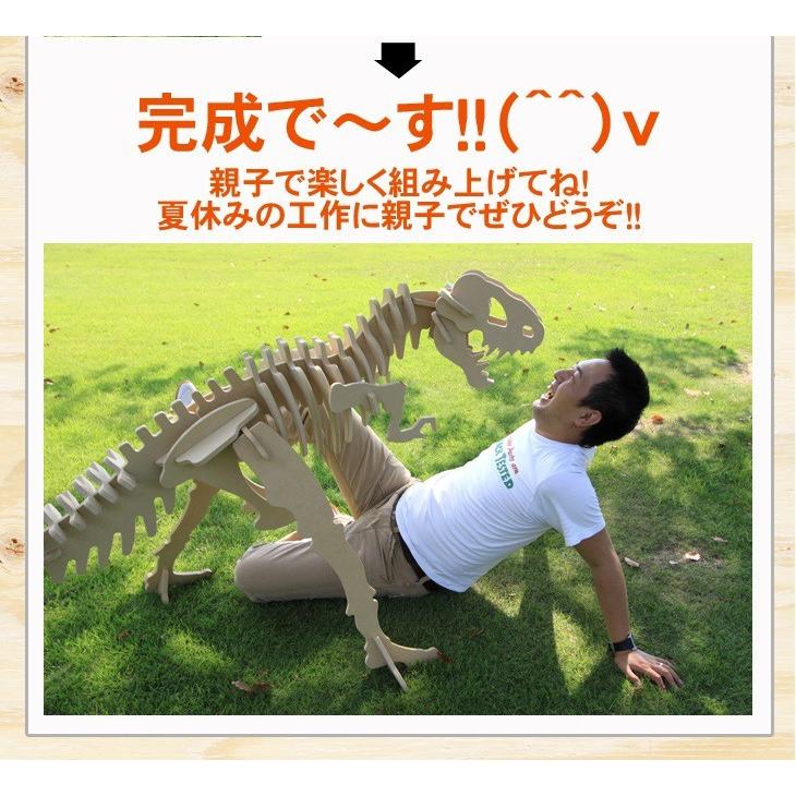 巨大恐竜！ステゴザウルス（骨格模型キット）｜freizeit｜11