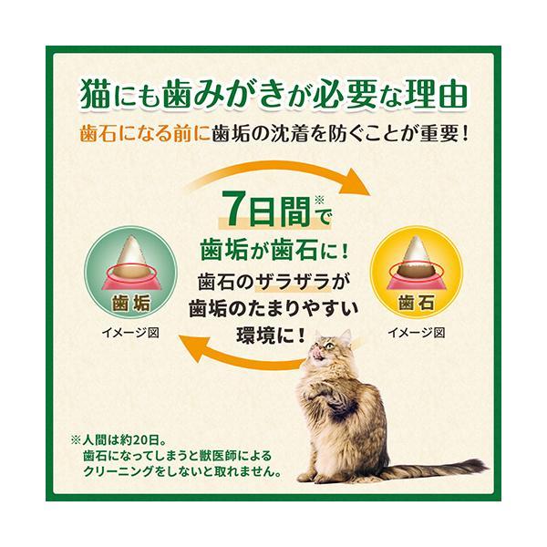 グリニーズ 猫用 香味サーモン味 60g アメリカ｜french-french｜04