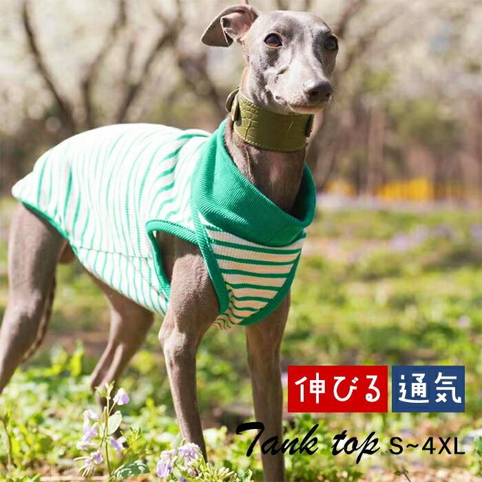 イタグレ タンクトップ ボーダー柄 グリーン イタグレ服 ハイネック 秋