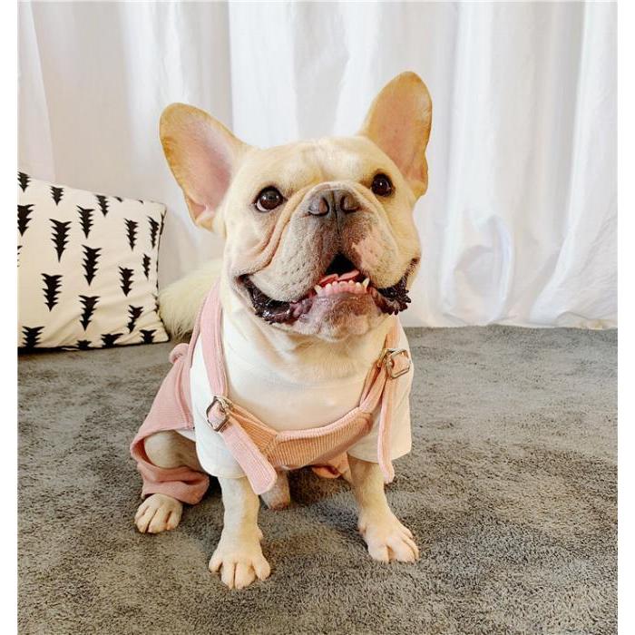 犬 服 フレンチブルドッグ サロペット 犬服 ドッグウェア いぬ