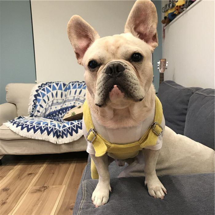 犬 服 フレンチブルドッグ サロペット 犬服 ドッグウェア いぬ