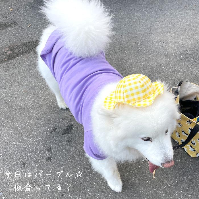 大型犬 服 犬 秋冬 綿100％ Tシャツ 無地 シンプル コットン