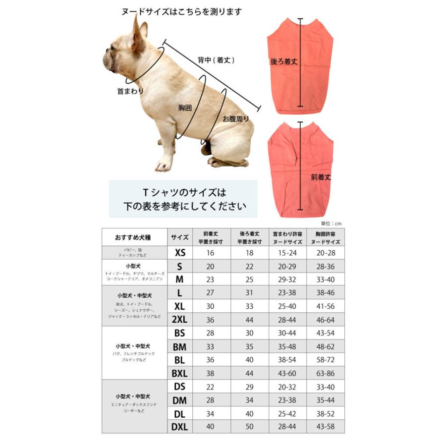 シンプル Tシャツ 無地 コットン デイリーTシャツ 綿100％ フレブル