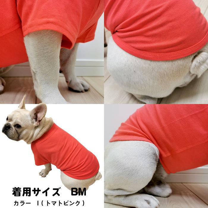 シンプル Tシャツ 無地 コットン デイリーTシャツ 綿100％ フレブル