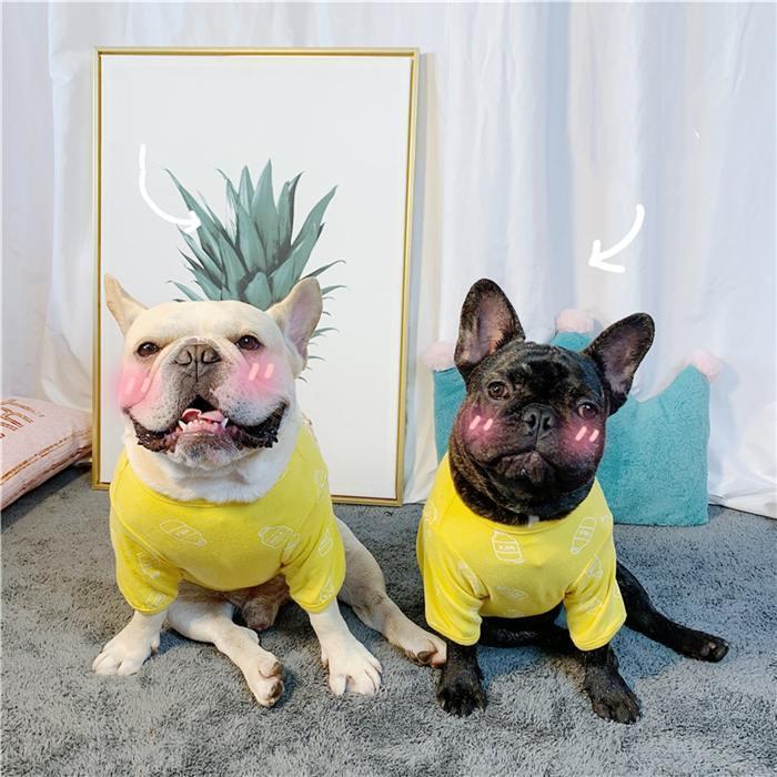 売り尽くし 犬 服 フレンチブルドッグ フレブル 中型犬 牛乳瓶 半袖T