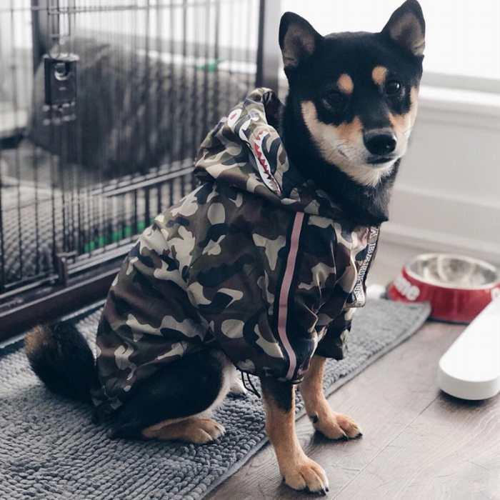 SALE返品交換不可 犬 レインコート 服 中型犬 ヤッケ 防寒 防風