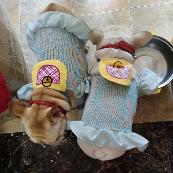 フランシュリッペ キャミソール タンクトップ インナー 犬 8枚 セット売り フランシュリッペ キャミソール タンクトップ インナー 犬 8枚 セット売り