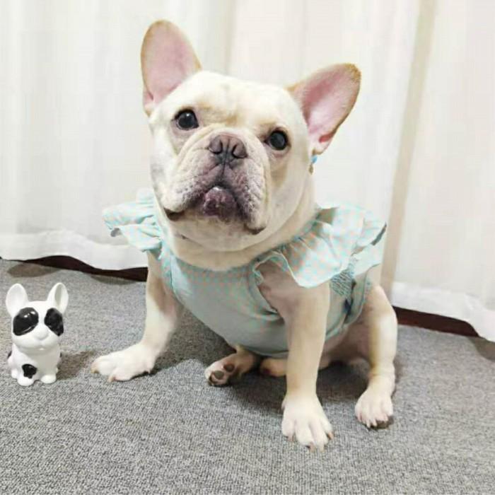 フランシュリッペ キャミソール タンクトップ インナー 犬 8枚 セット売り フランシュリッペ キャミソール タンクトップ インナー 犬 8枚 セット売り