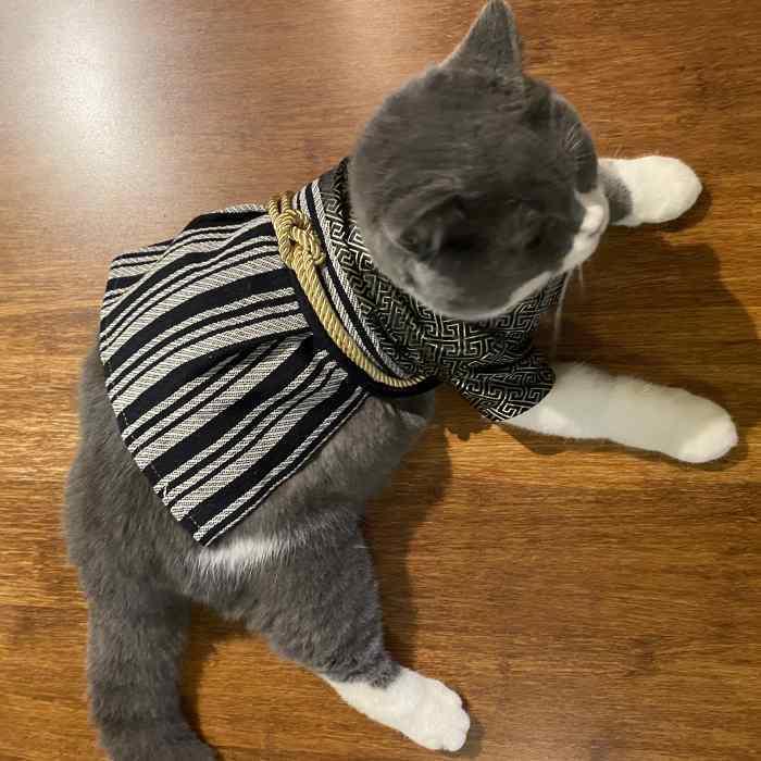 犬 服 着物 晴れ着 袴 正月フレブル パグ 小型犬 中型犬 犬用着物