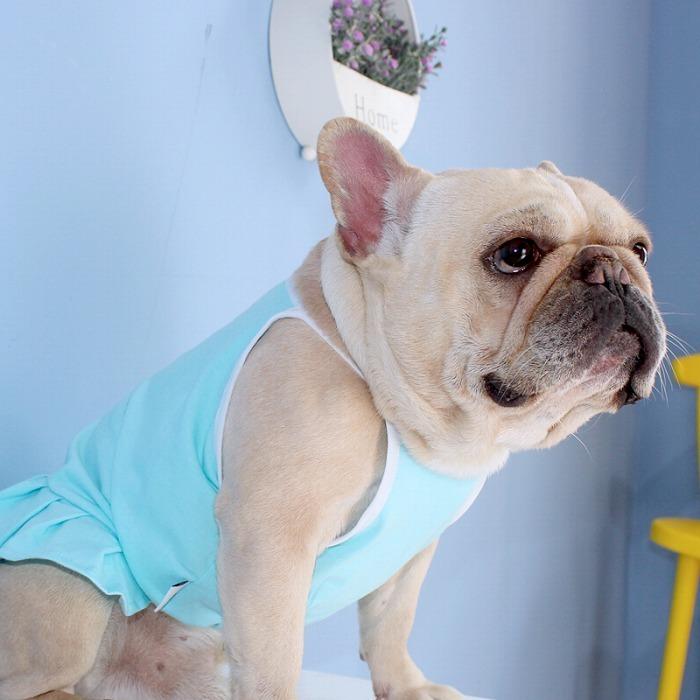 犬 春 夏服 中型犬 フレンチブルドッグ フレブル タンクトップ