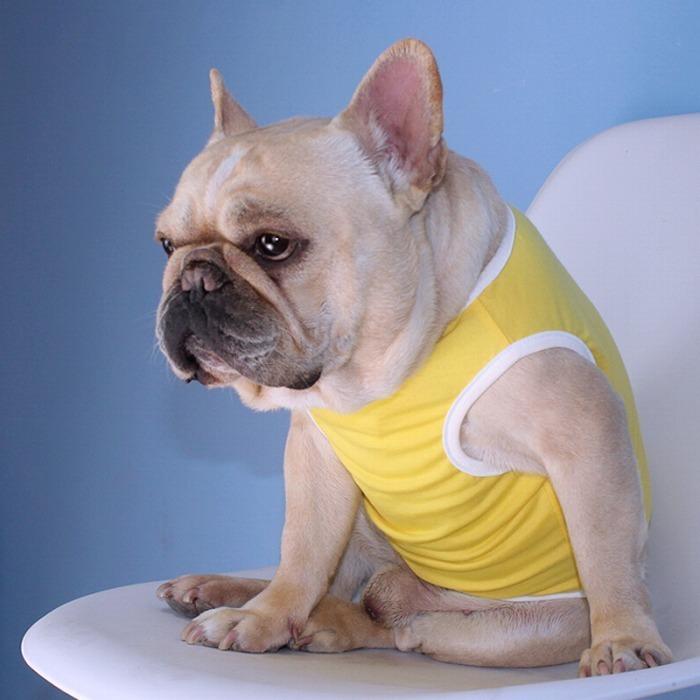 犬 春 夏服 中型犬 フレンチブルドッグ フレブル タンクトップ