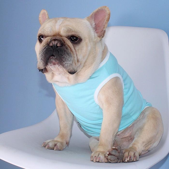 犬 春 夏服 中型犬 フレンチブルドッグ フレブル タンクトップ