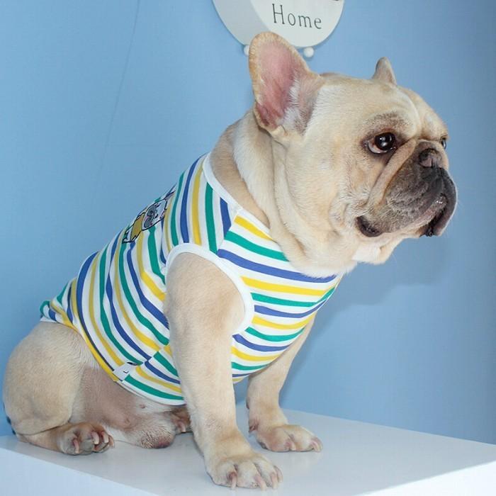犬 春 夏服 中型犬 フレンチブルドッグ フレブル タンクトップ