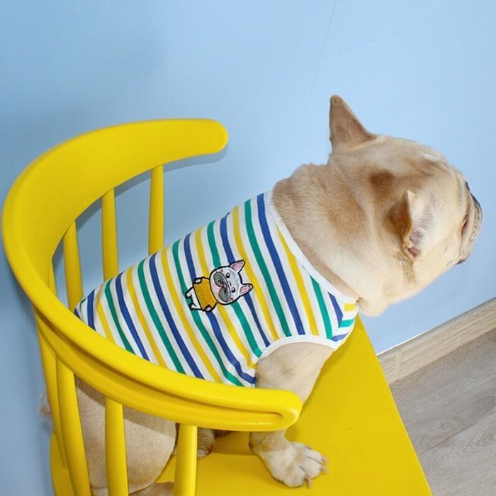 犬 春 夏服 中型犬 フレンチブルドッグ フレブル タンクトップ