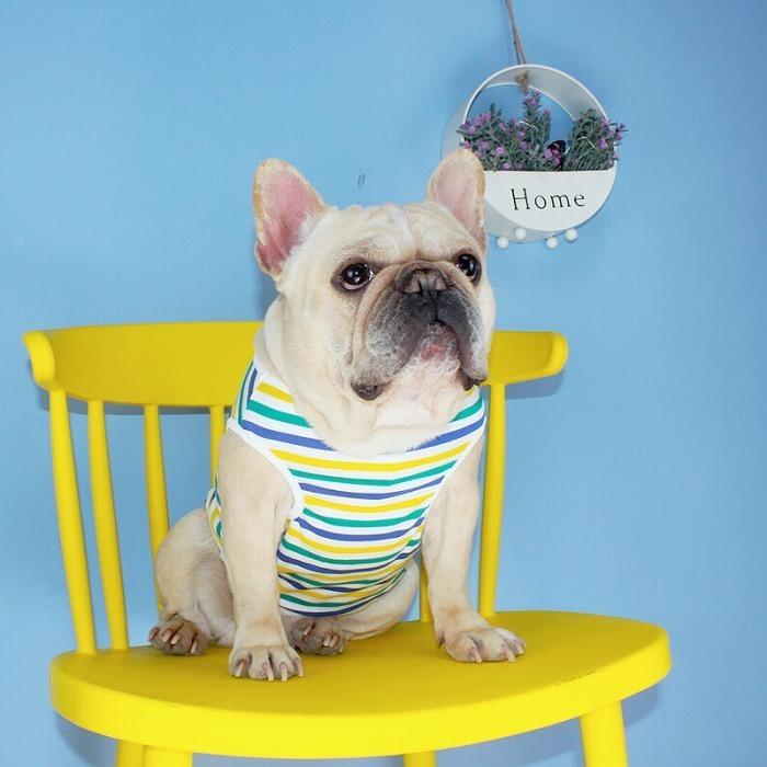 犬 春 夏服 中型犬 フレンチブルドッグ フレブル タンクトップ