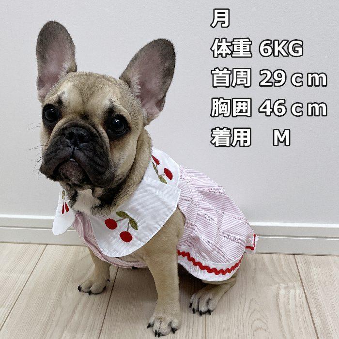 ペット用 ペットウェア フレブル フレンチブルドック 犬服 ブルー