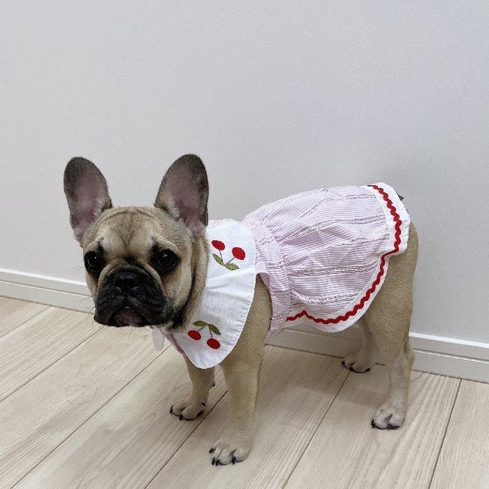 ペット用 ペットウェア フレブル フレンチブルドック 犬服 ブルー