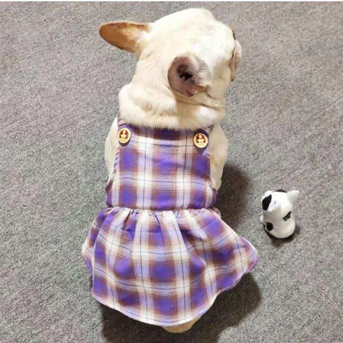 いぬの服（小型犬S）紫柄とチェック切り替ええり付き