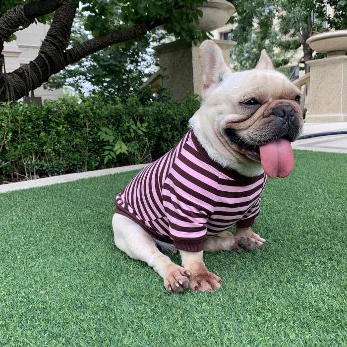 フレンチブルドッグ ボーダーTシャツ 秋冬 トレーナー フレブル 服 犬