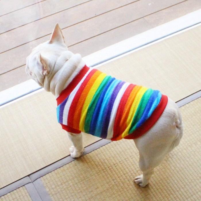 フレンチブルドック フレブル 小型犬 中型犬 レインボー 虹 カラフル 