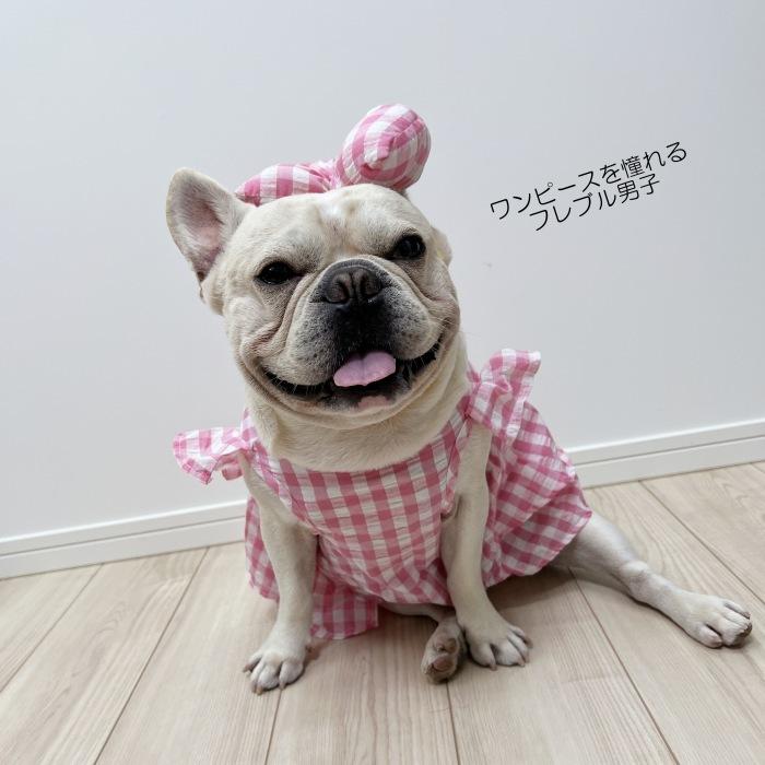 フレンチブルドック 犬服 春 夏 ワンピース 服 中型犬 小型犬 フレブル