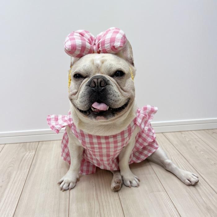 フレンチブルドック 犬服 春 夏 ワンピース 服 中型犬 小型犬 フレブル