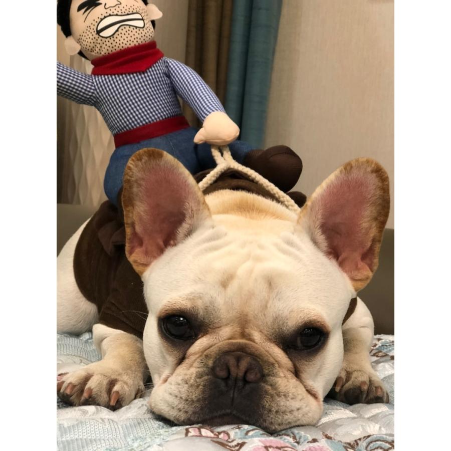 フレブル おもしろグッズ 変装 フレンチブルドッグ 服 コスプレ服 ハロウィン クリスマスプレゼント 小型犬 中型犬 大型犬 厚手 アウター 可愛い 防寒 Km560g Km560g French French 通販 Yahoo ショッピング