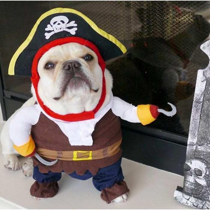 ペット変装 海賊 おもしろグッズ 変装 フレンチブルドック ペット服 犬