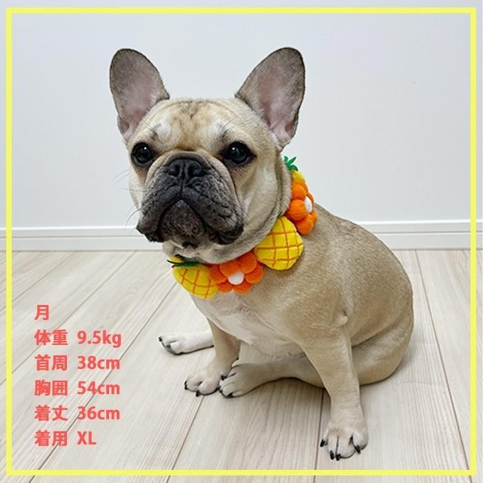 ⑥Parti du Ruban ケープタイプ　ネックアクセサリー　犬用品　写真 犬 ネックアクセサリー ネクタイ フレンチブルドック リボン 首輪