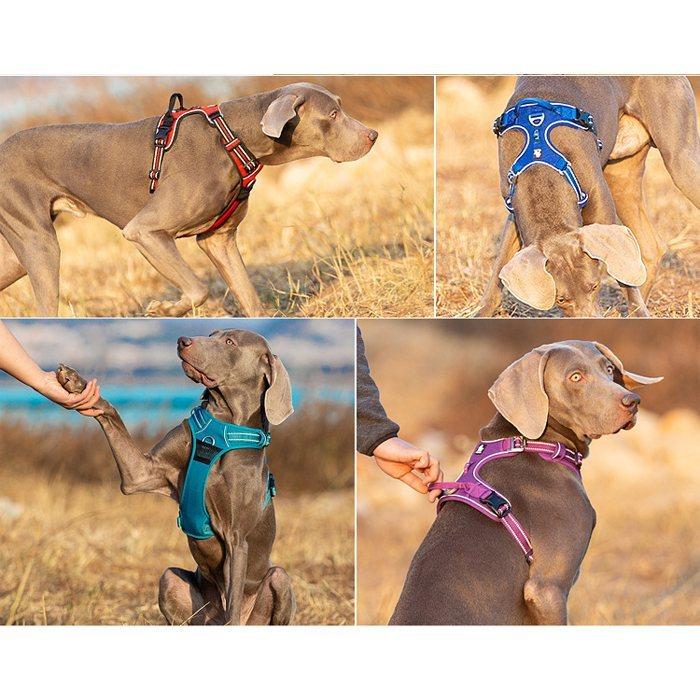 Truelove（トゥルーラブ） Trueloveフレンチブルドッグ 犬 ソフト