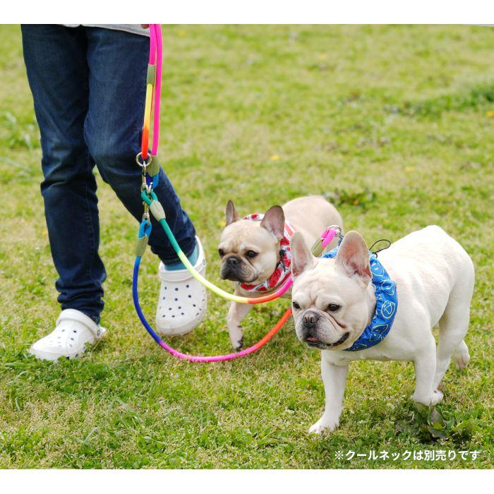 ひめのぉ ☆ ショルダーリード ハンドルパーツ 犬 ショルダーダブルリード ダブルショルダーリード 二頭引きリード