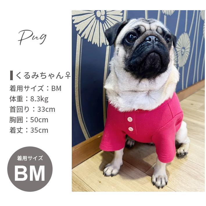 送料無料 オリジナルTシャツ 犬 服 ワッフルTシャツ しっかり生地