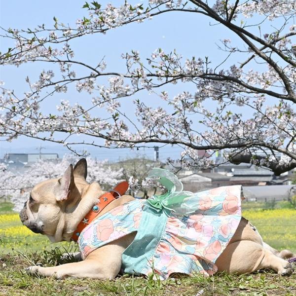 新作 犬服 春 夏 ワンピース シャツ 花柄 フレンチブルドッグ パグ 服