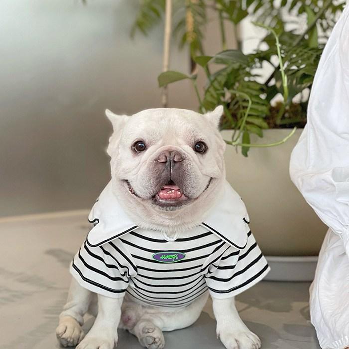 犬 フレンチブルドッグ 服 秋 冬 中型犬 小型犬 可愛い パンダ 白黒 襟