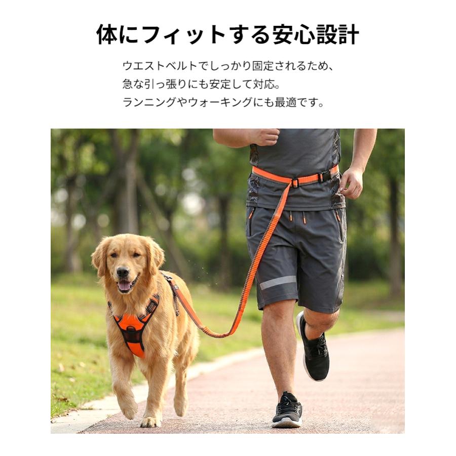Truelove（トゥルーラブ） 犬 リード ウエストリード Mサイズ