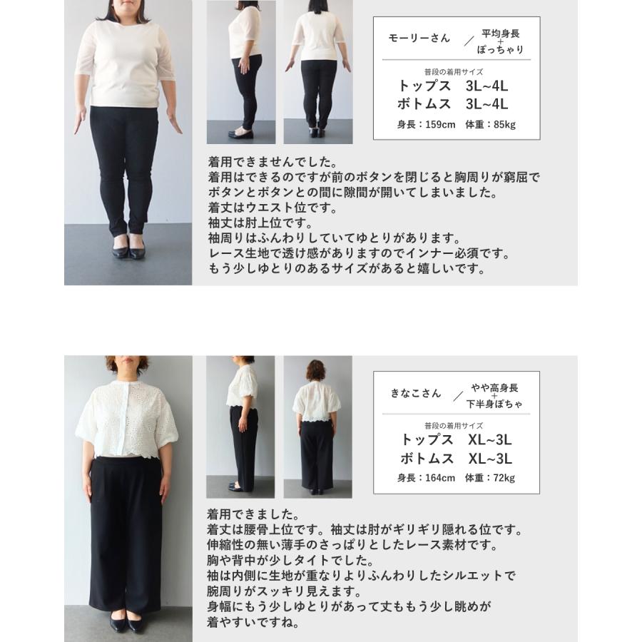 SからL対応 ぽわんとバルーン袖のパンチングレースブラウストップスの画像