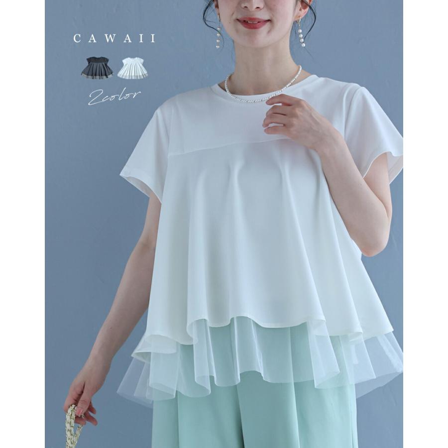 fsz00094ss