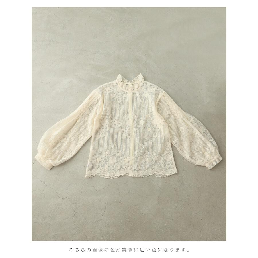 SからL対応 肌に美しく浮かび上がる装飾刺繍シアーブラウストップス