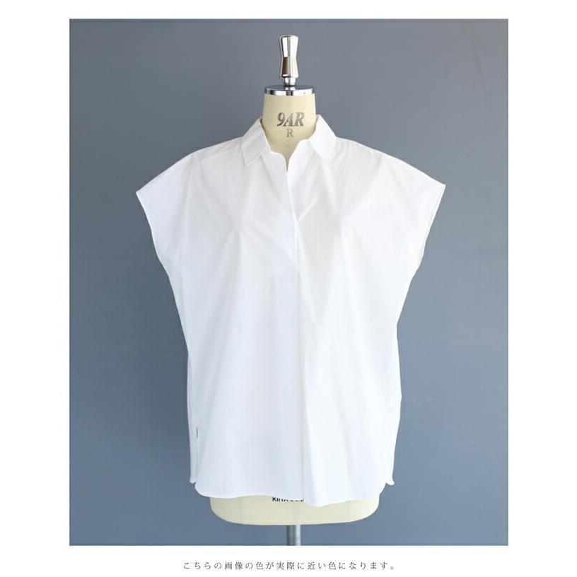 cawaii SからL対応 着回し優秀スキッパーブラウストップス : CAWAII