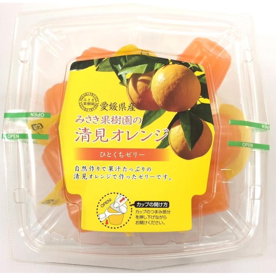 愛媛県産柑橘使用 みさき果樹園の清美オレンジひとくちゼリー 11個入り