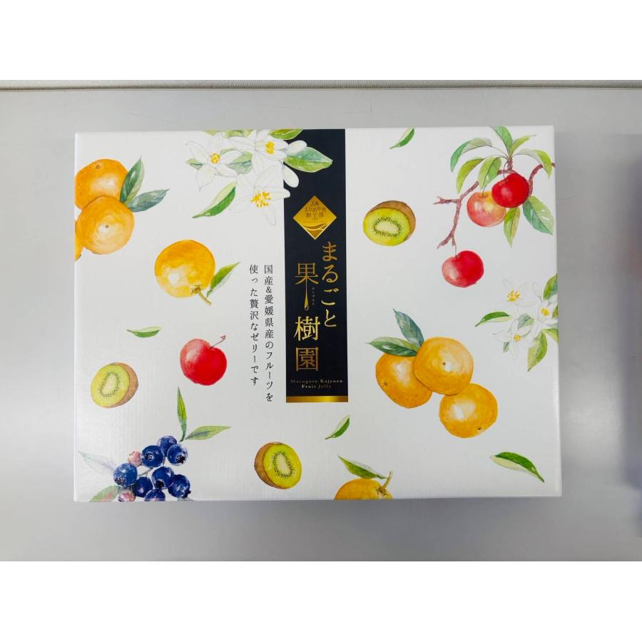 まるごと果樹園ゼリー 詰め合わせ : fresh マーケット - 通販 - Yahoo