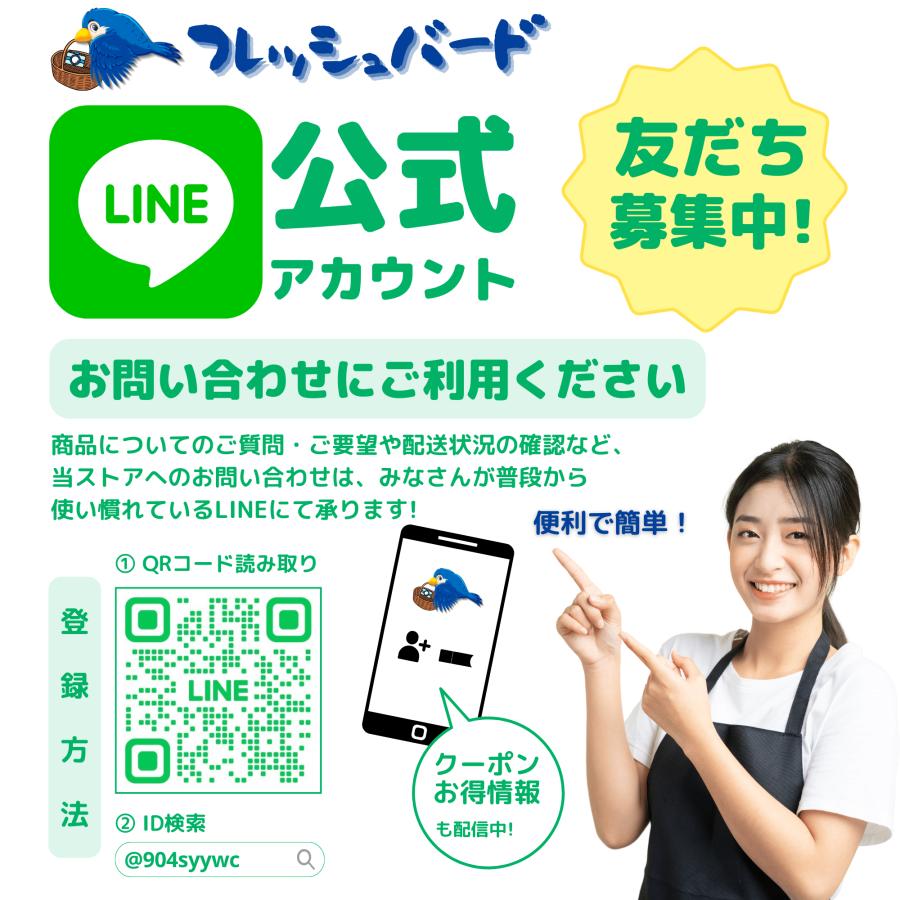 生理用品 ナプキン ソフィ センターイン コンパクト1/2 昼用 夜用 