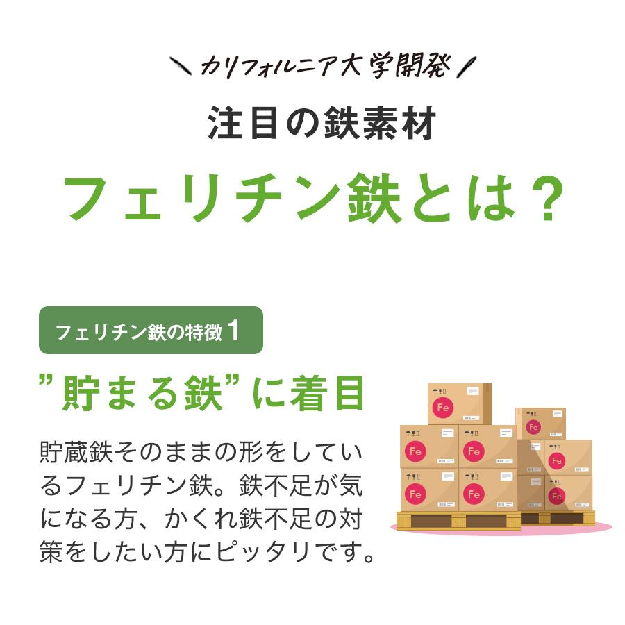 Lepeel Organics（レピールオーガニックス） フェリチン鉄 粒 タイプ