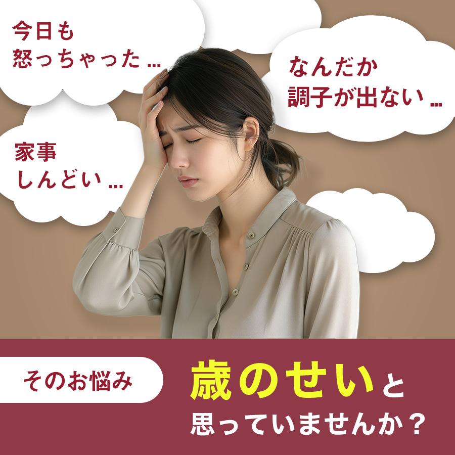 Lepeel Organics（レピールオーガニックス） フェリチン鉄 鉄分 サプリ