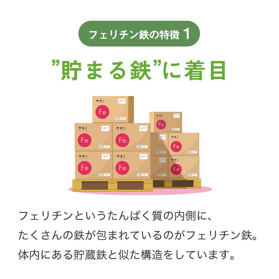 Lepeel Organics（レピールオーガニックス） フェリチン鉄 鉄分 サプリ