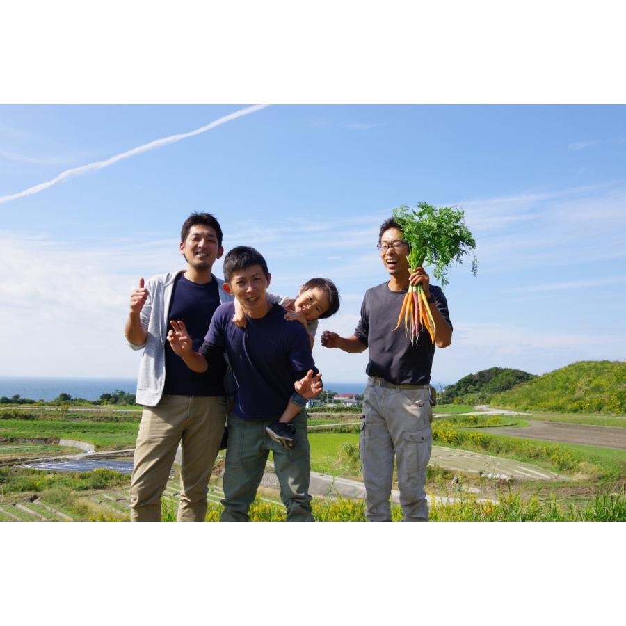 フレッシュグループ淡路島の香るハーブと彩り野菜セット　季節の１２〜１４種の厳選こだわり詰合わせ |  | 01